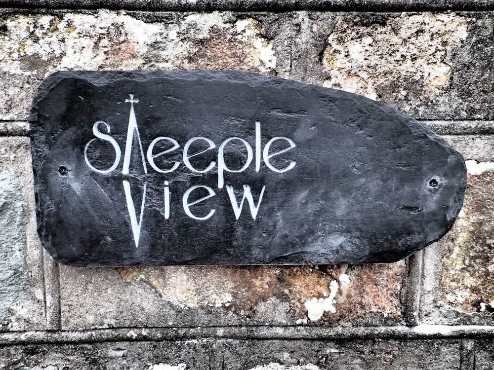 Bed and Breakfast Steeple View Newport  Exterior foto
